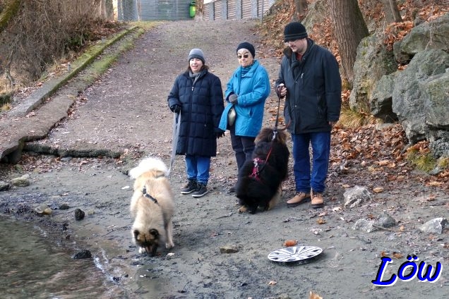 28.12.2025 - Strandgut
